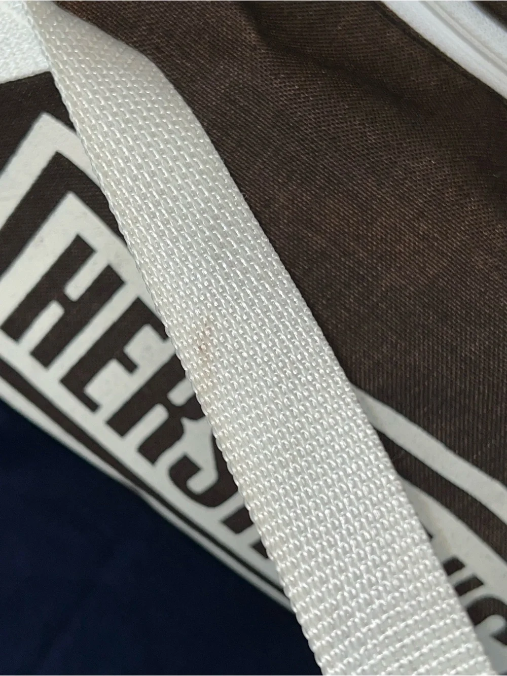 VTG Hershey’s Duffle Bag Chocolate Hershey Park 1980s 1990s Tote 15 1/2” x 9”